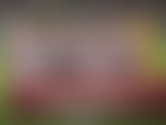 SELECCIÓN PERUANA: SALIÓ LA LISTA DE CONVOCADOS