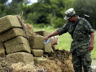 Peña Nieto convoca a un debate especializado sobre la legalización de la marihuana