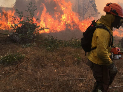 Conaf presentará querella contra responsables de incendios forestales en Valparaíso