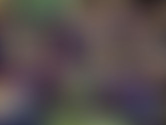 Barcelona FC gana la UEFA Champios Ligue.