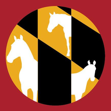 horsecouncil.jpg