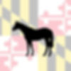 MDhorse.jpg