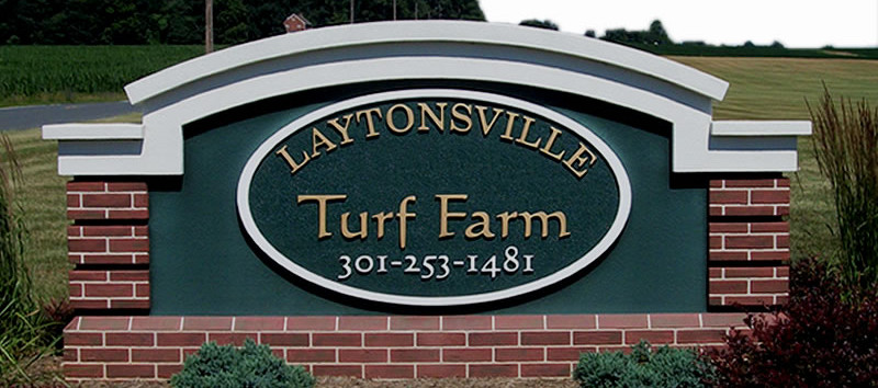 laytonsvilleturf.jpg