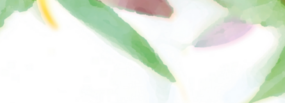 Asset 1_4x_edited.png