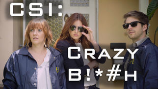 Crazy Bitch_poster.jpeg