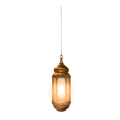 lantern new small_compressed.gif