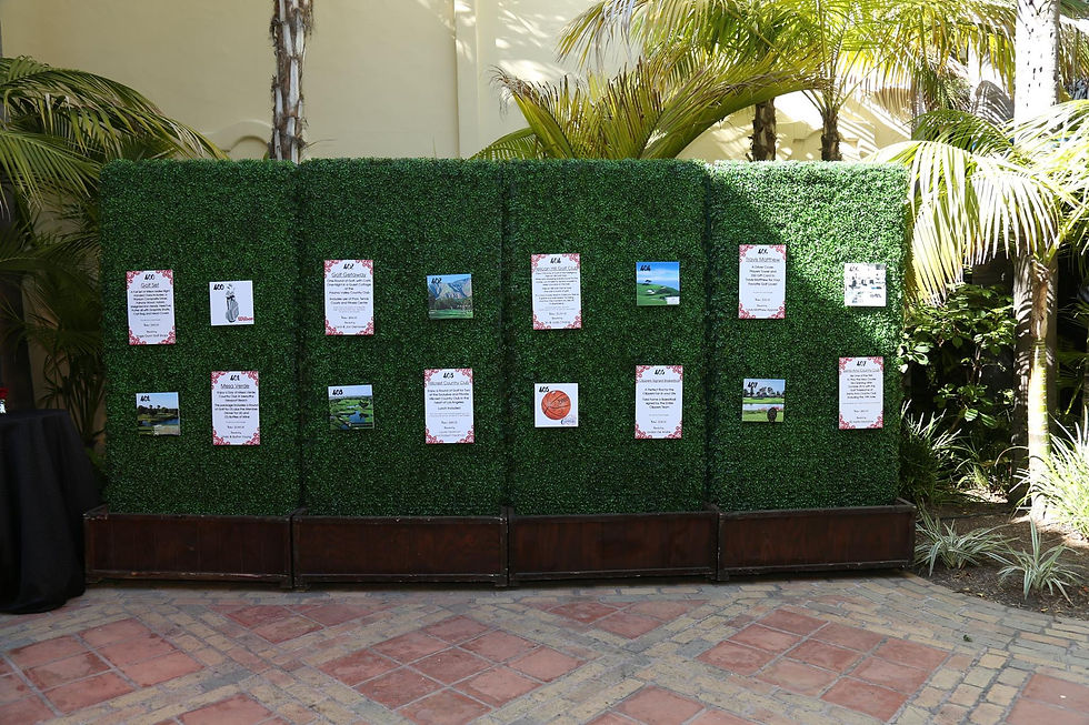 SILENT AUCTION DISPLAY WITH HEDGES