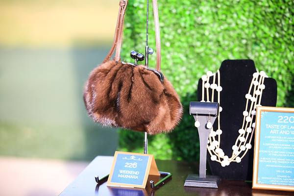 SILENT AUCTION DISPLAY