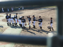 line_586484536452861