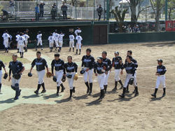 line_586501201898411