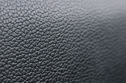 Elephant Macro