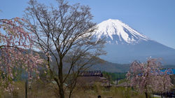 Iyashino-Sato