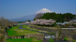 Mount Fuji