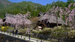 Iyashino-Sato