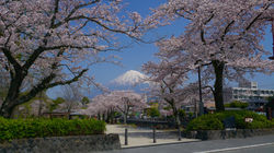 Mount Fuji