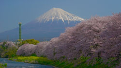 Mount Fuji