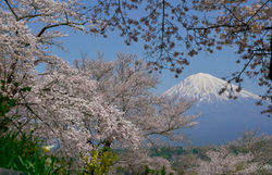 Mount Fuji