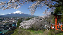 Arakurayama Sengen Shrine