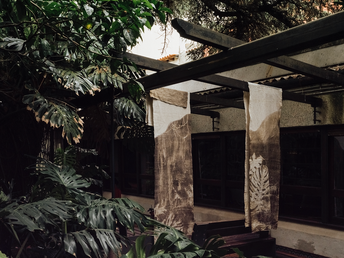 FLORESESTUDIO-40 Grande.png