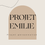 Miniature : PROJET ÉMILIE 