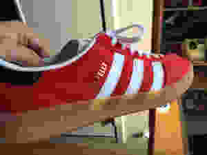 image.jpeg