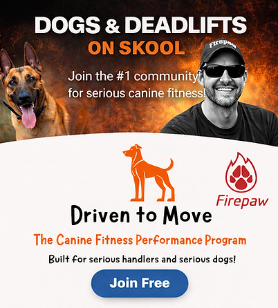 Dogs and deadlifts fitness program.png