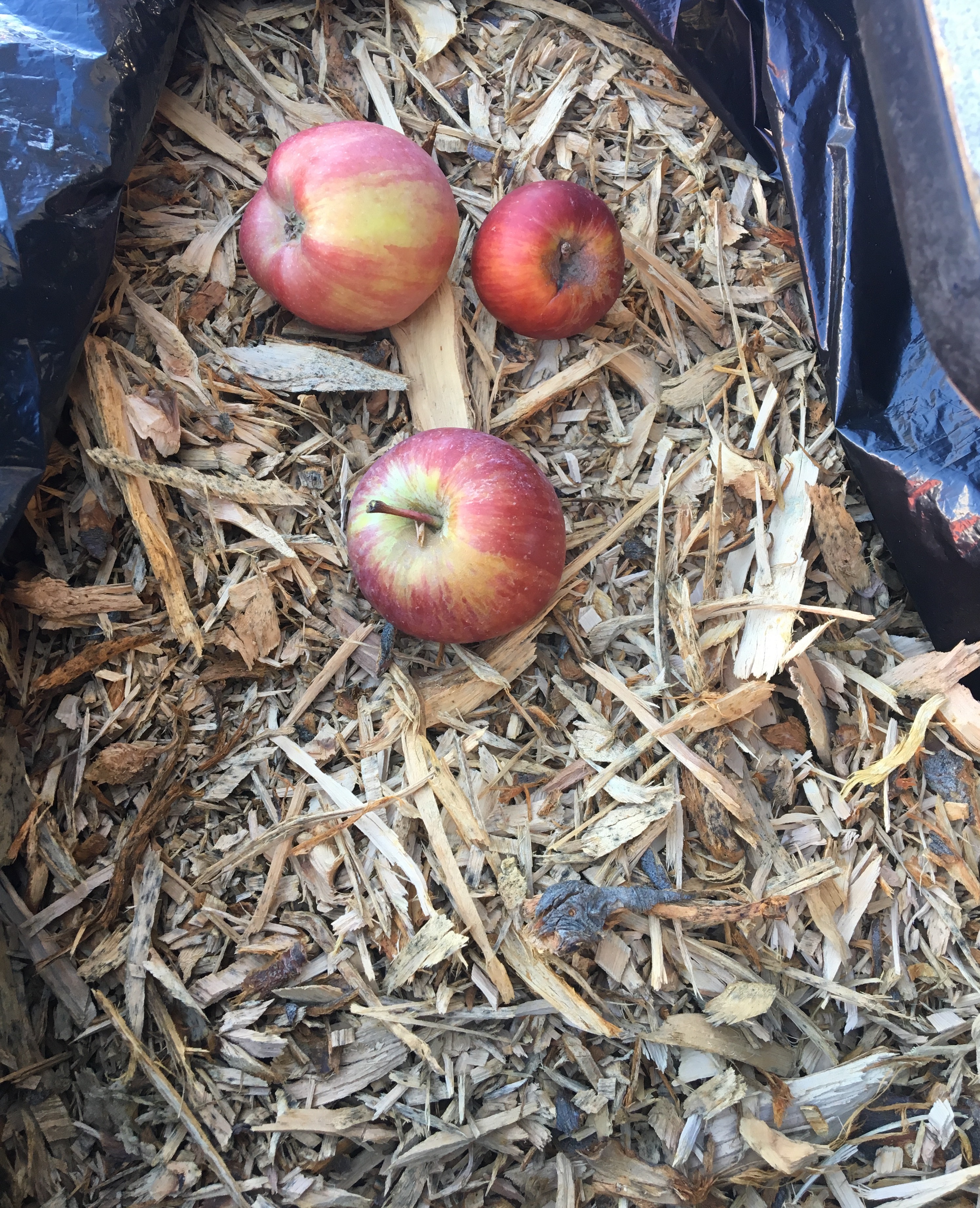 Saturday - Cerritos | harborarea