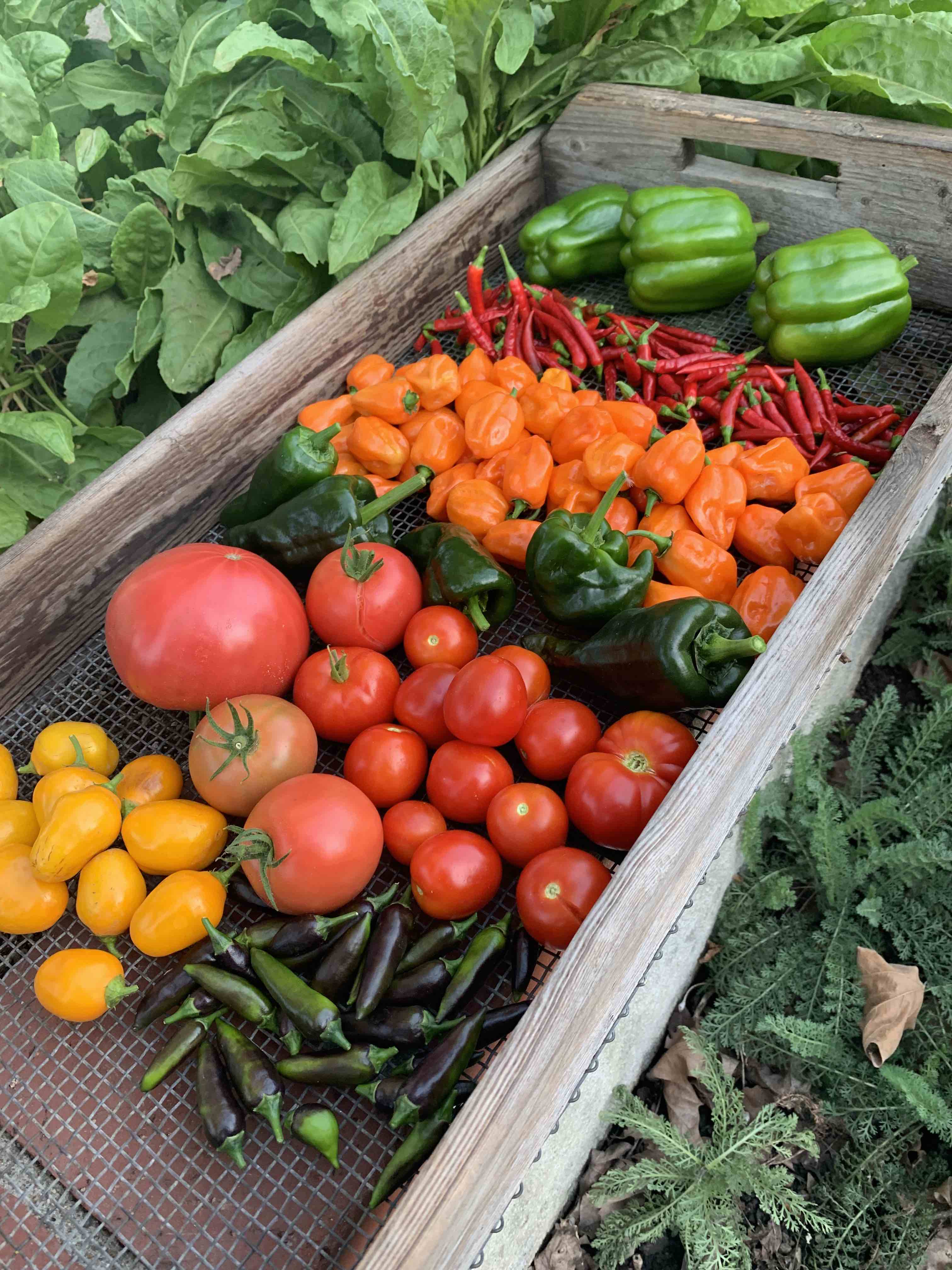 Harbor Area Farmers Markets - Business Photo