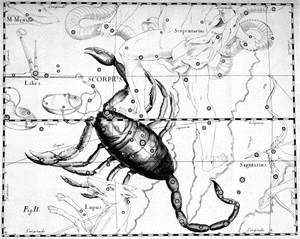 scorpione_a.gif
