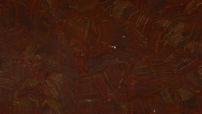 Brazilian Red Dragon