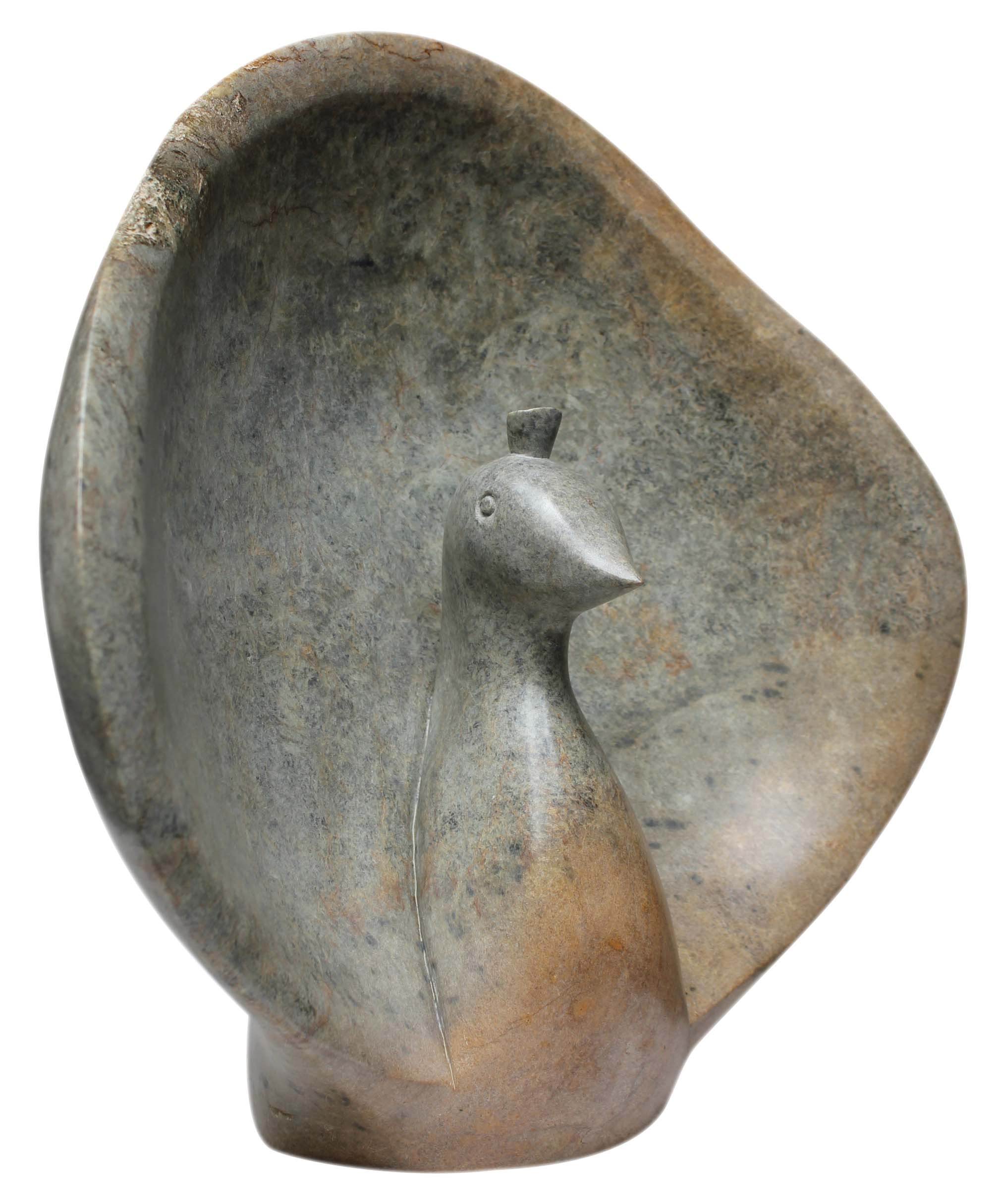 PAVÃO