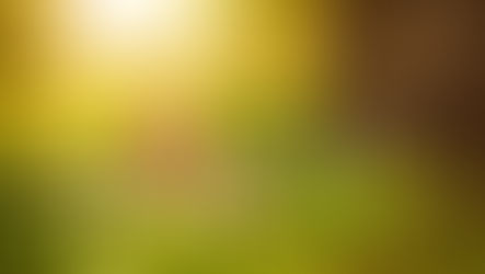 MALUQUICE OU VERDADE