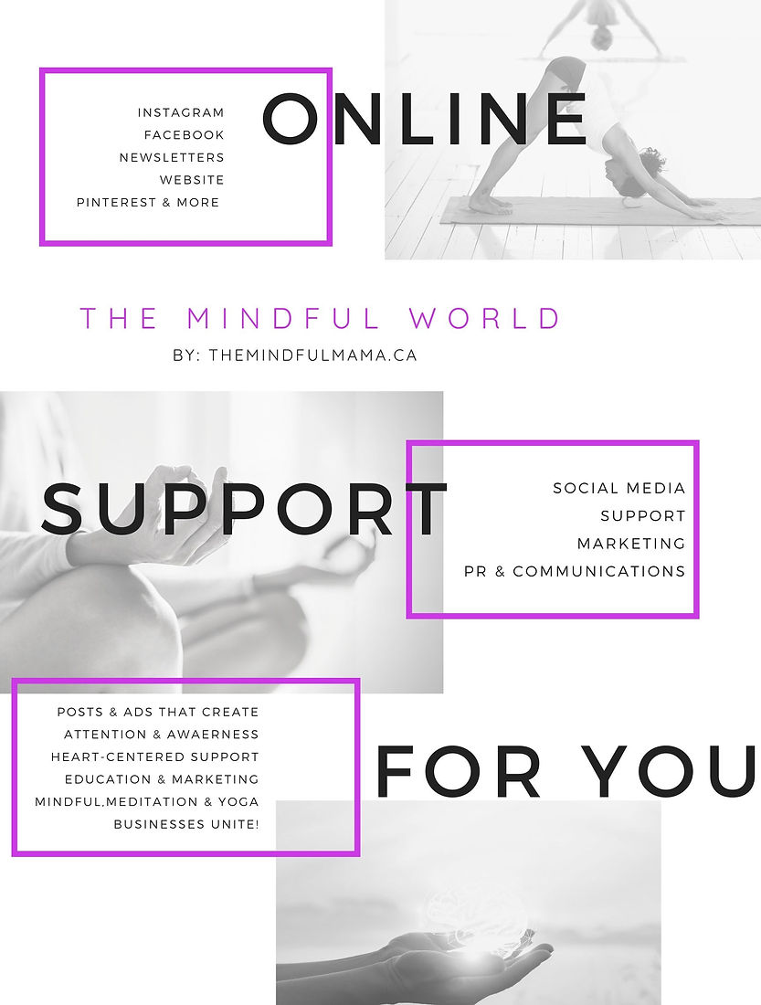 The Mindful World - WEBSITE PAGE SOCIAL 