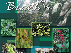 The Peak_ST428 Light box_V8-04.jpg