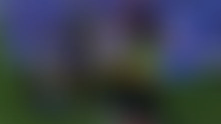 3. vieta regbijā Latvijā!