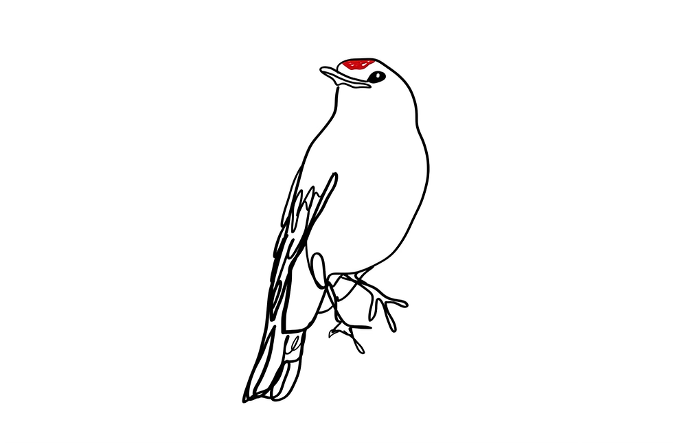 ree