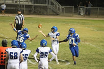 12468024_d219ed6debba4d85a3d6127ca7d6546