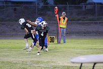 12468024_d219ed6debba4d85a3d6127ca7d6546