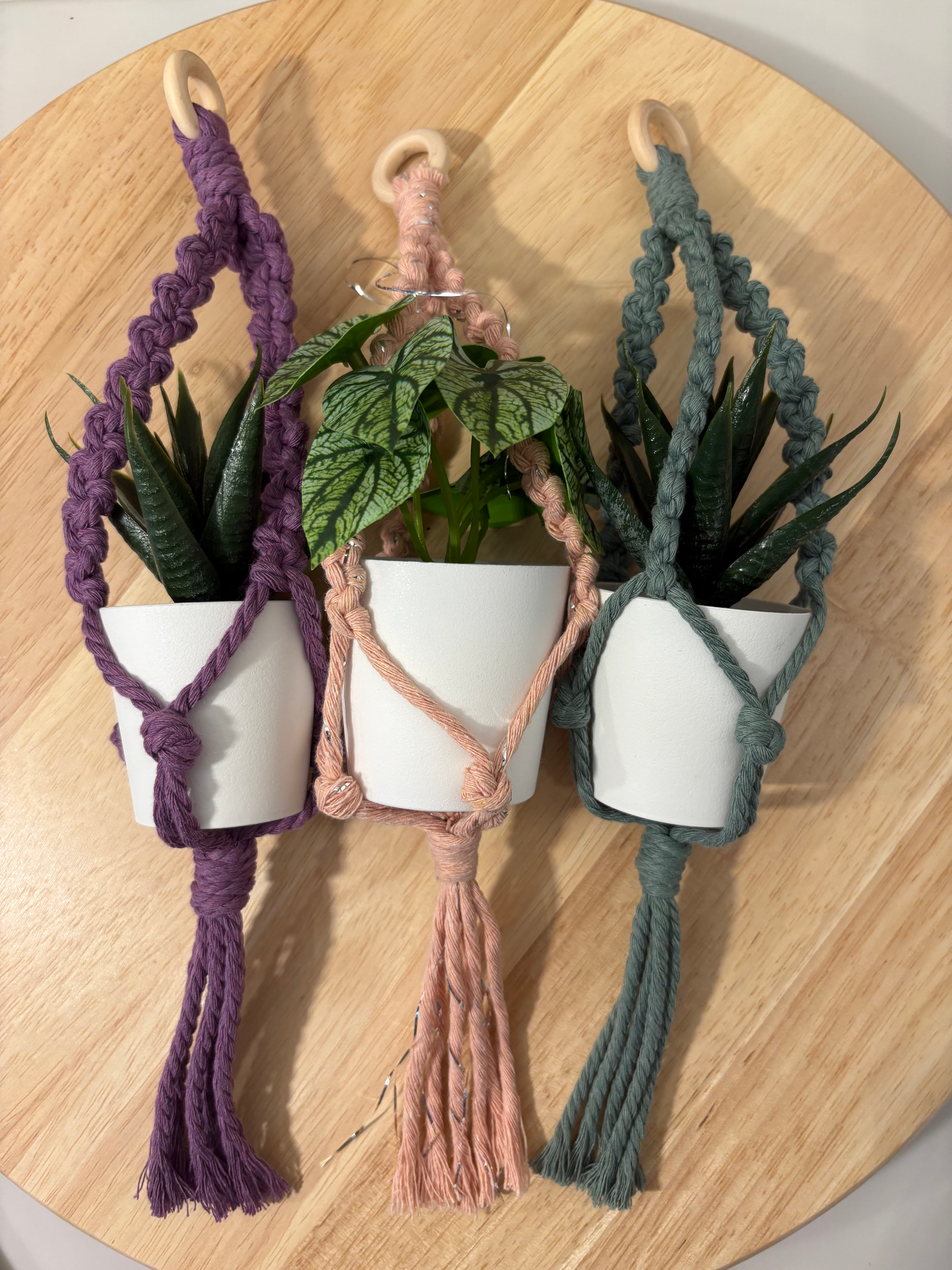 Mini support à plante