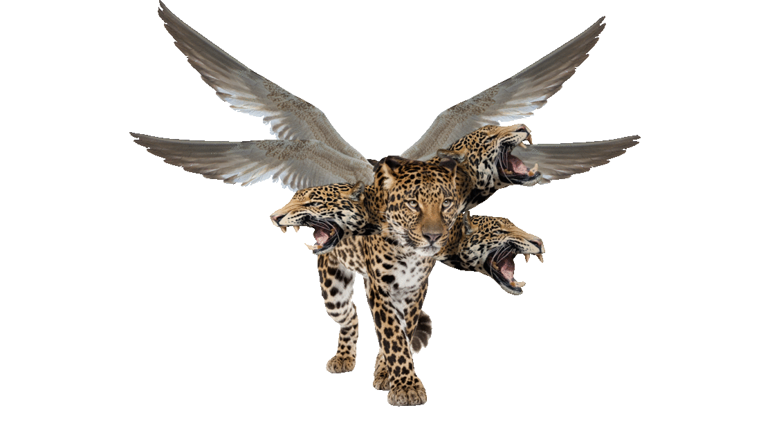 Leopardo gif.gif
