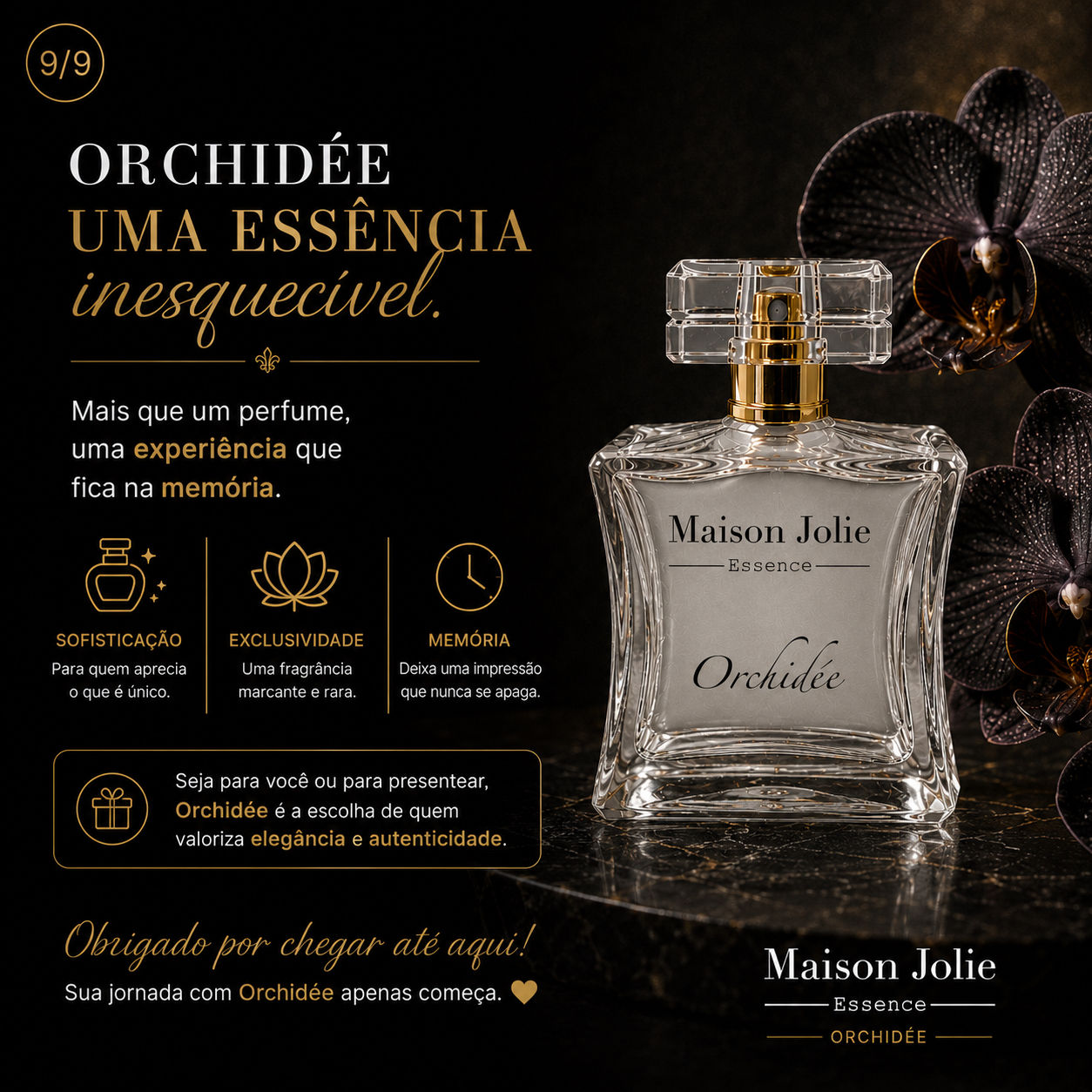 Orchidée