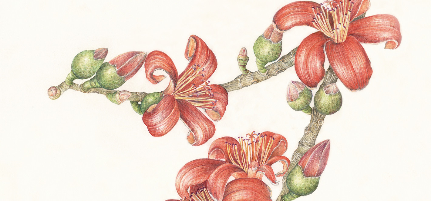 SEMUL low res for website_edited.jpg