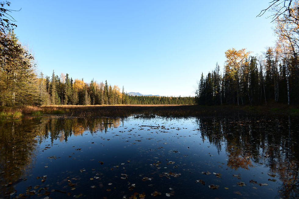 2026_Calendar_September