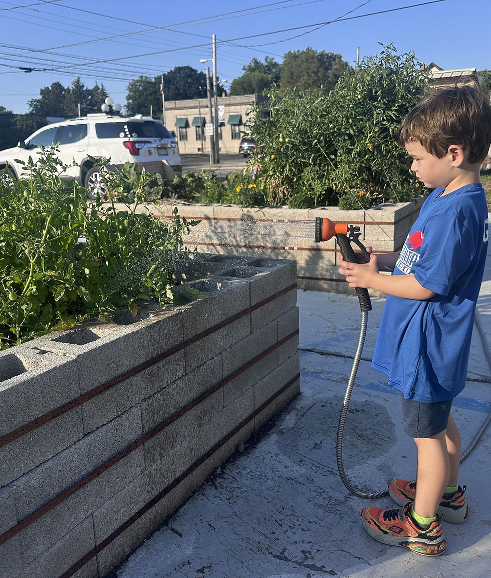 young elementary boy watering a garden at the Wesleyville Community Garden, which is operated and overseen by Messiah Lutheran Church, Erie, PA