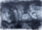 landscape_28