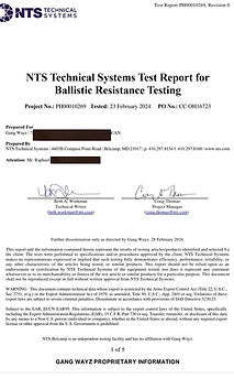 Gang Wayz test