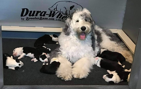 IMG_7807 3_edited.jpg