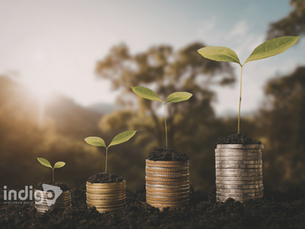 How to Know if Your Company Needs a Customized System? Signs, Benefits, and Impact on Growth