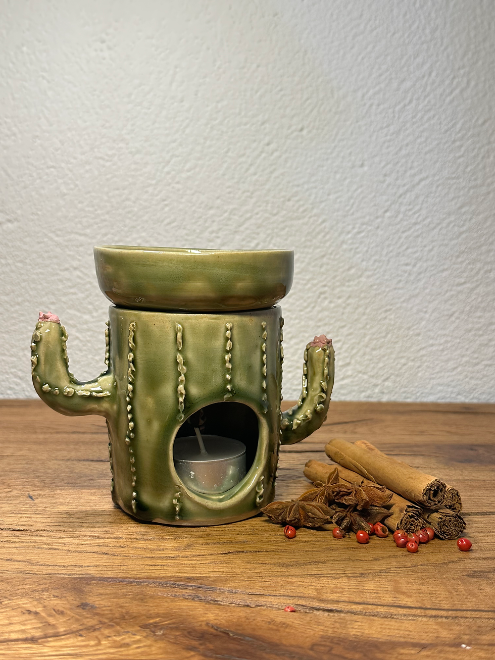 Thumbnail: Cactus-3 🌵 Oil Diffuser 