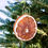 Thumbnail: 20 Dried Orange Slice Ornaments